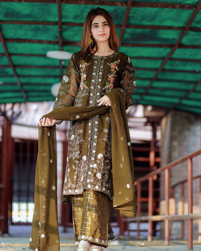 Stylish Safeen by Riwaj Fashions