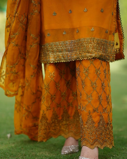 Meherbano Regal Attire by Riwaj Fashions