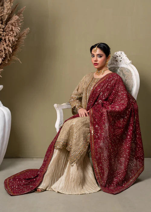 Liyana Noor Beige by Riwaj Fashions